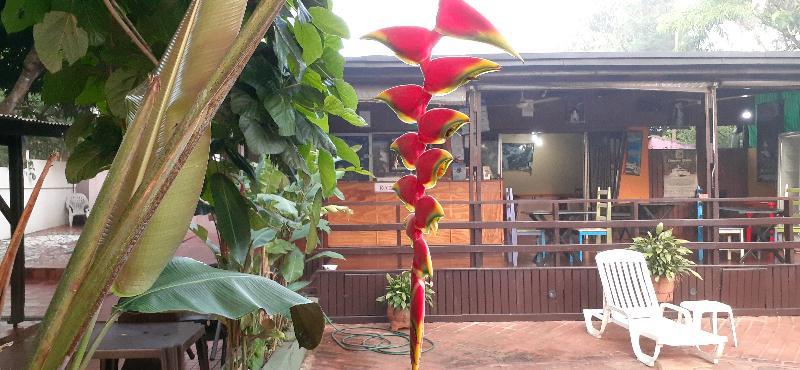 Residencial Noelia Hostel Puerto Iguazú Exteriör bild